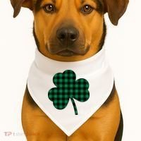 Checkered Irish Clover Leaf USA-Made Doggie Bandana thumb 1