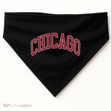 Chicago Illinois USA-Made Doggie Bandana