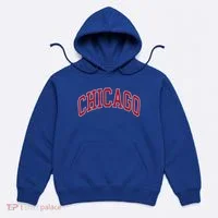 Chicago Illinois Hoodie thumb 0