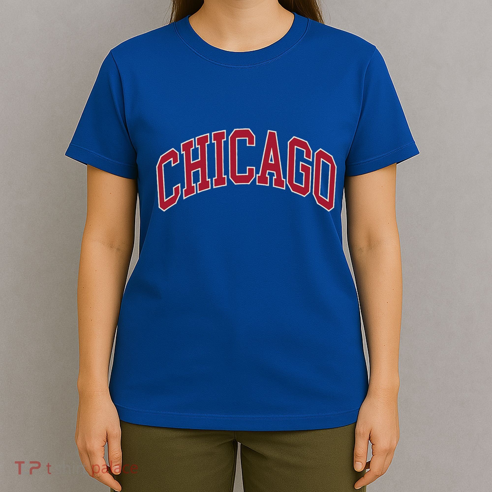 Chicago Illinois T-Shirt
