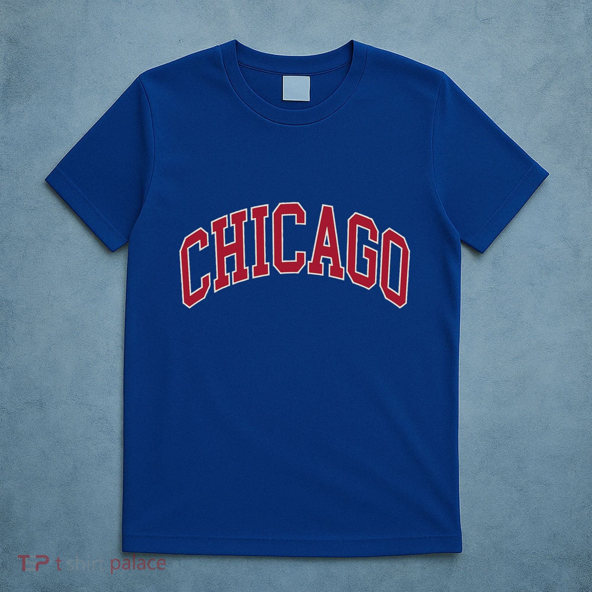 Chicago Illinois T-Shirt