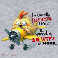 Chick IM Currently Experiencing Life At The Speed Of 15 Wtf Women's Sweatshirt thumb 2