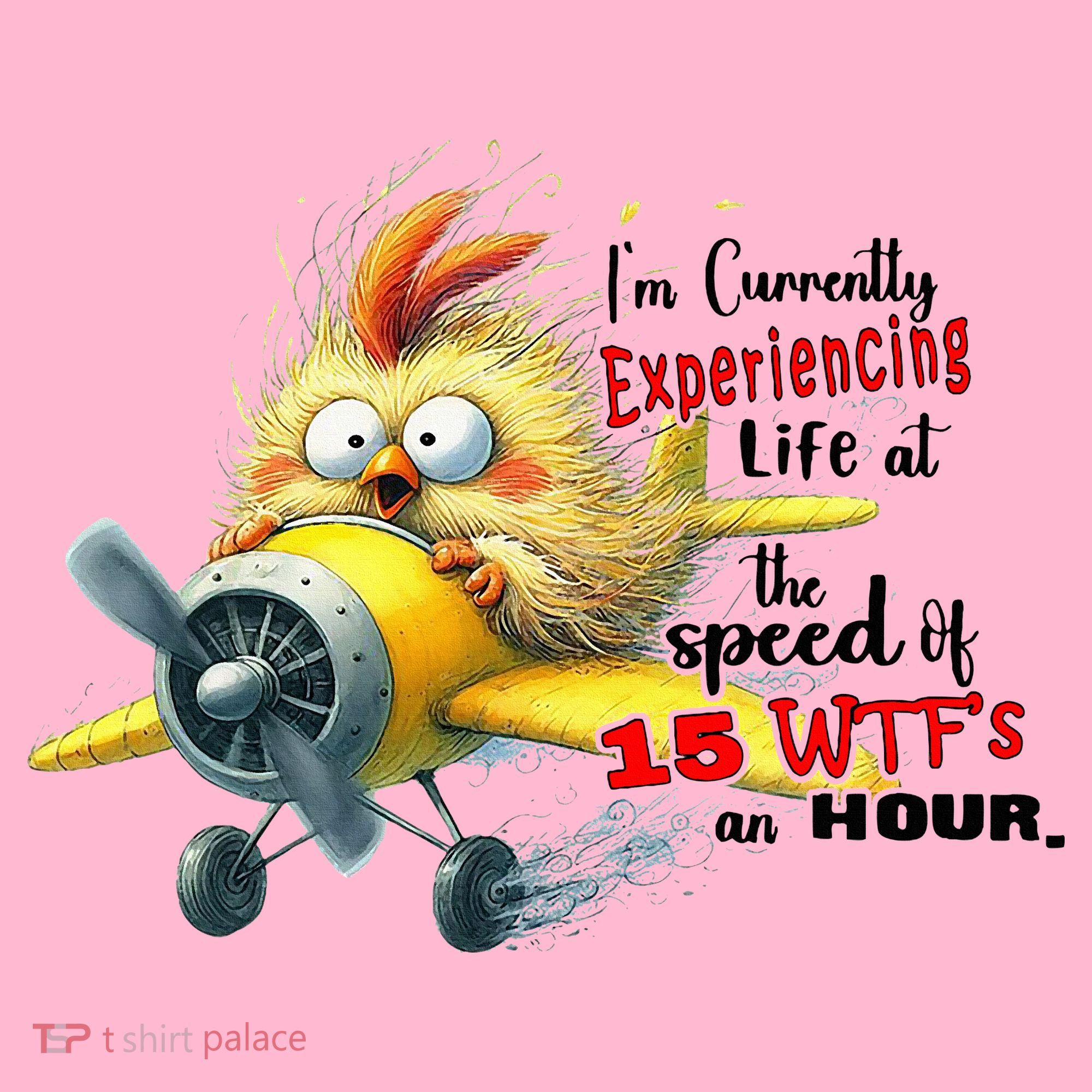 Chick IM Currently Experiencing Life At The Speed Of 15 Wtf Coaster