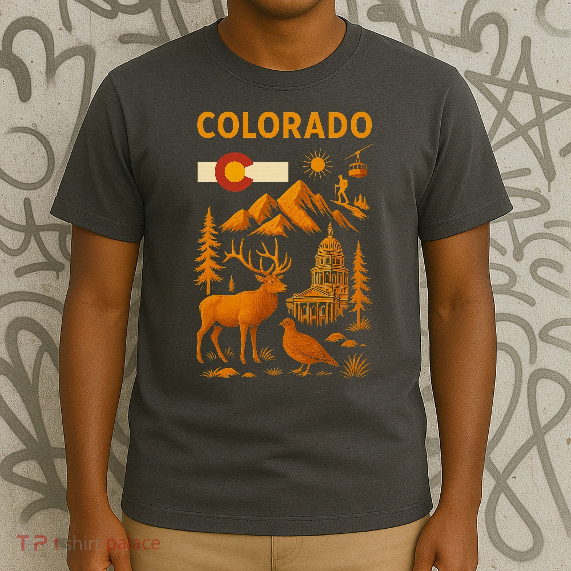 Colorado Iconic Collage T-Shirt