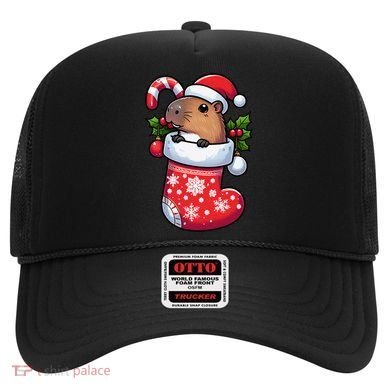 Capybara In Christmas Stocking Candy Cane Santa Hat Pajama Hat