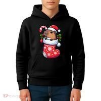Capybara In Christmas Stocking Candy Cane Santa Hat Pajama Kids Hoodie thumb 4