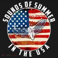 Cicadas Sounds Of Summer In The USA Flag Ornament thumb 1