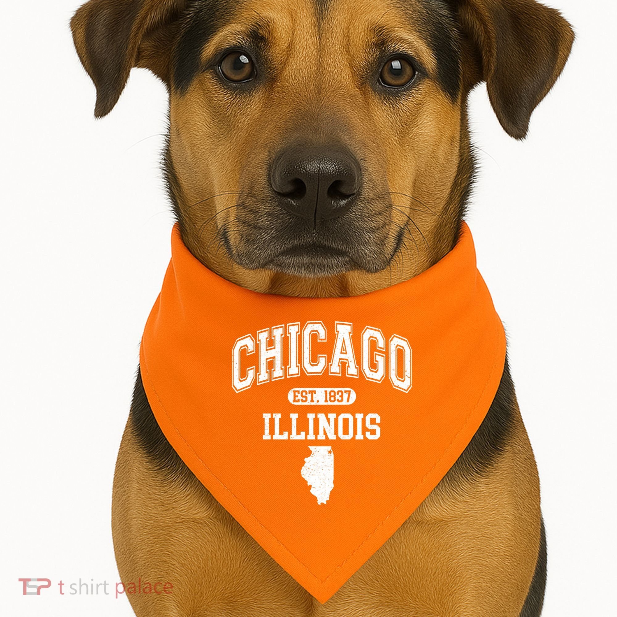 Chicago Illinois Est 1837 Varsity USA-Made Doggie Bandana