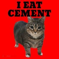 Cat I Eat Cement Santa Hat thumb 1