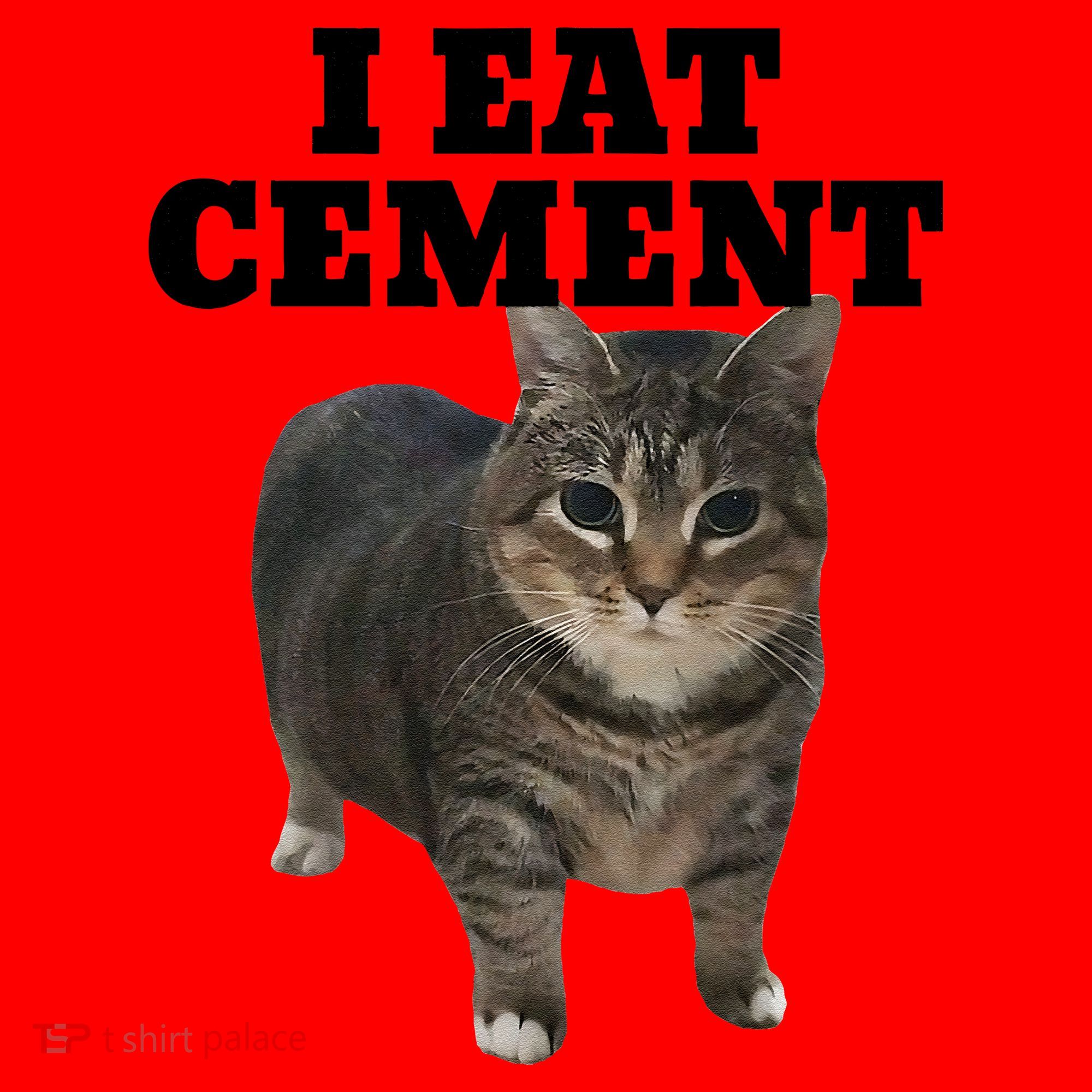 Cat I Eat Cement Santa Hat