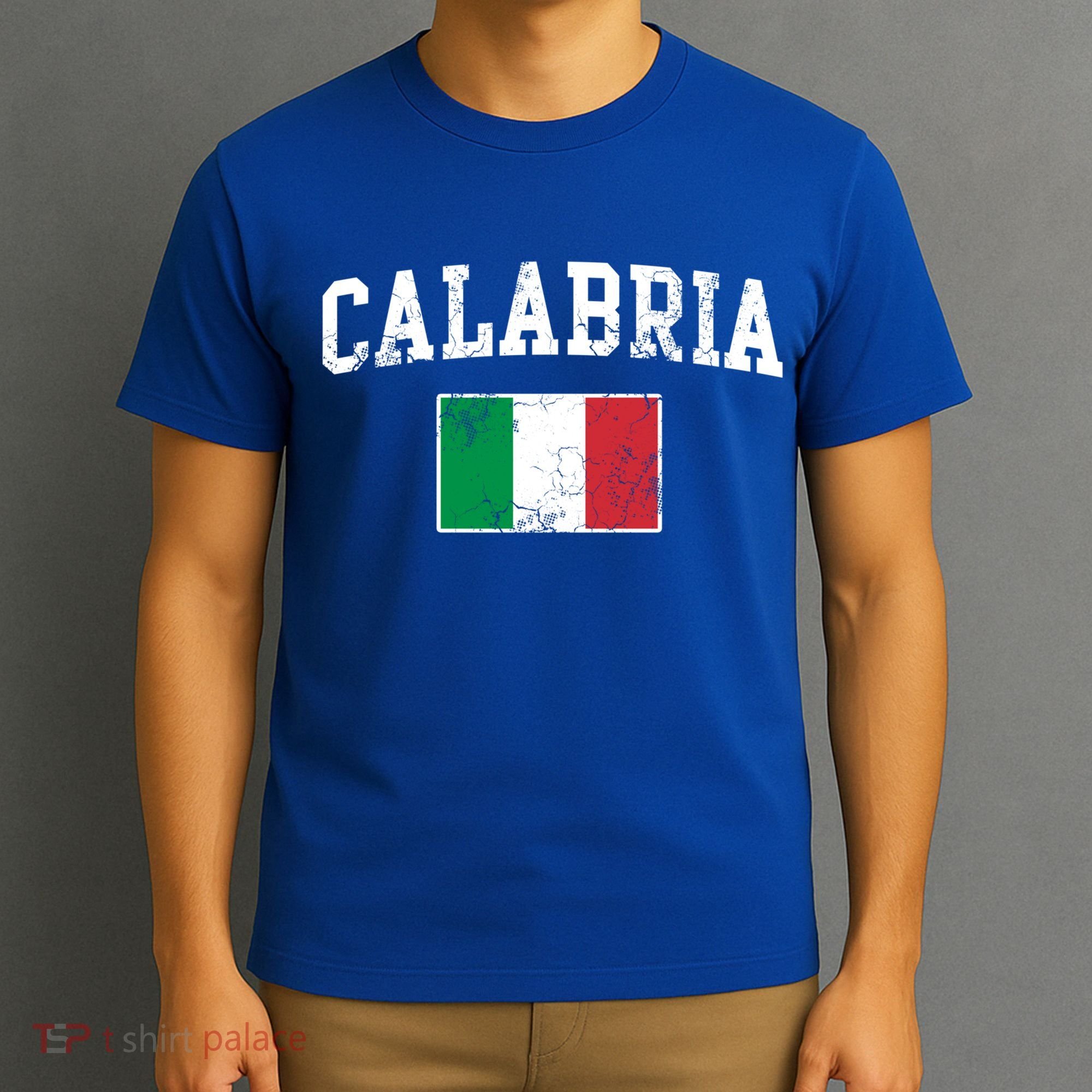 Calabria Italy Flag Italia Italian Vintage Distressed Gift T-Shirt