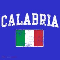 Calabria Italy Flag Italia Italian Vintage Distressed Gift T-Shirt thumb 7