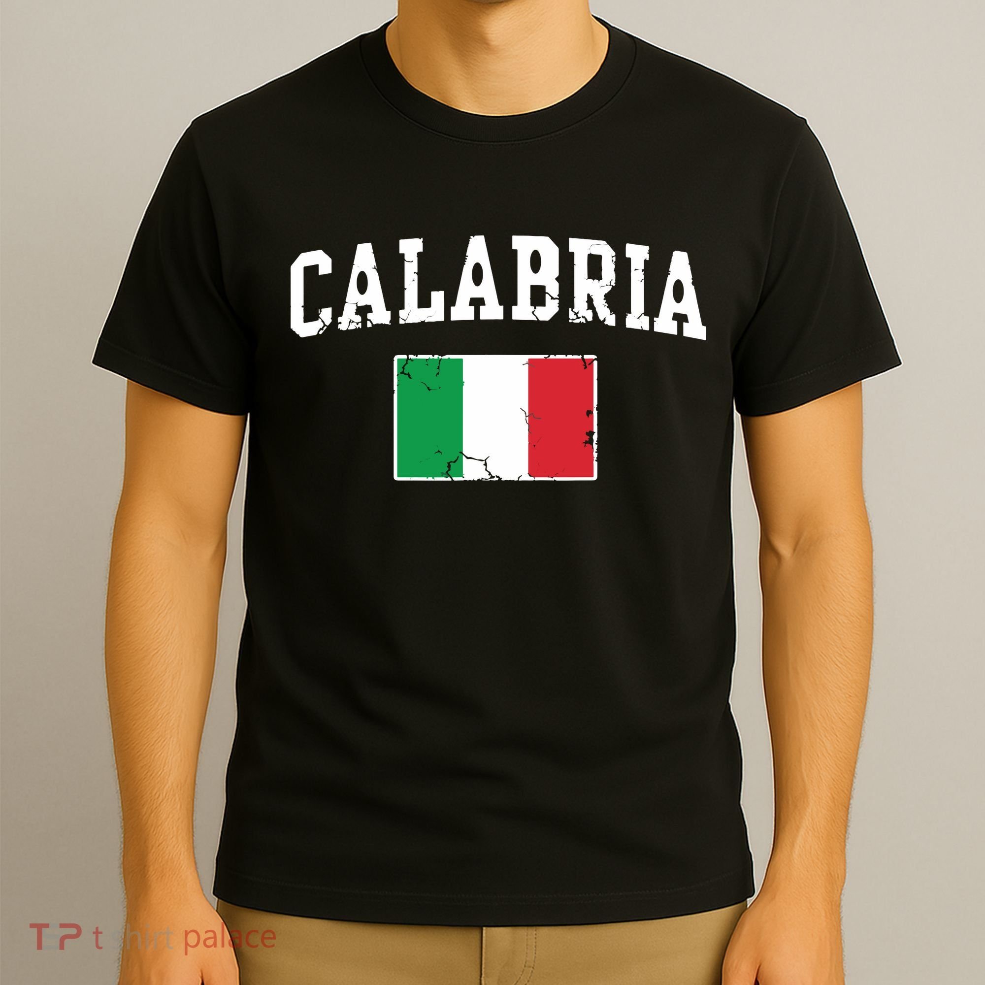 Calabria Italy Flag Italia Italian Vintage Distressed T-Shirt