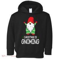 Christmas Is Gnoming Toddler Hoodie thumb 0