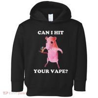 Can I Hit Your Vape Funny Rat Toddler Hoodie thumb 0