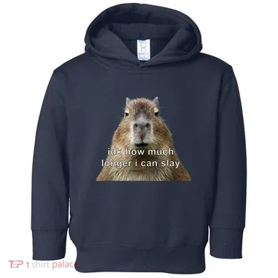 Toddler Hoodie