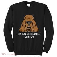 Capybara Idk How Much I Can Slay Capy Rodent Women Sweatshirt thumb 0