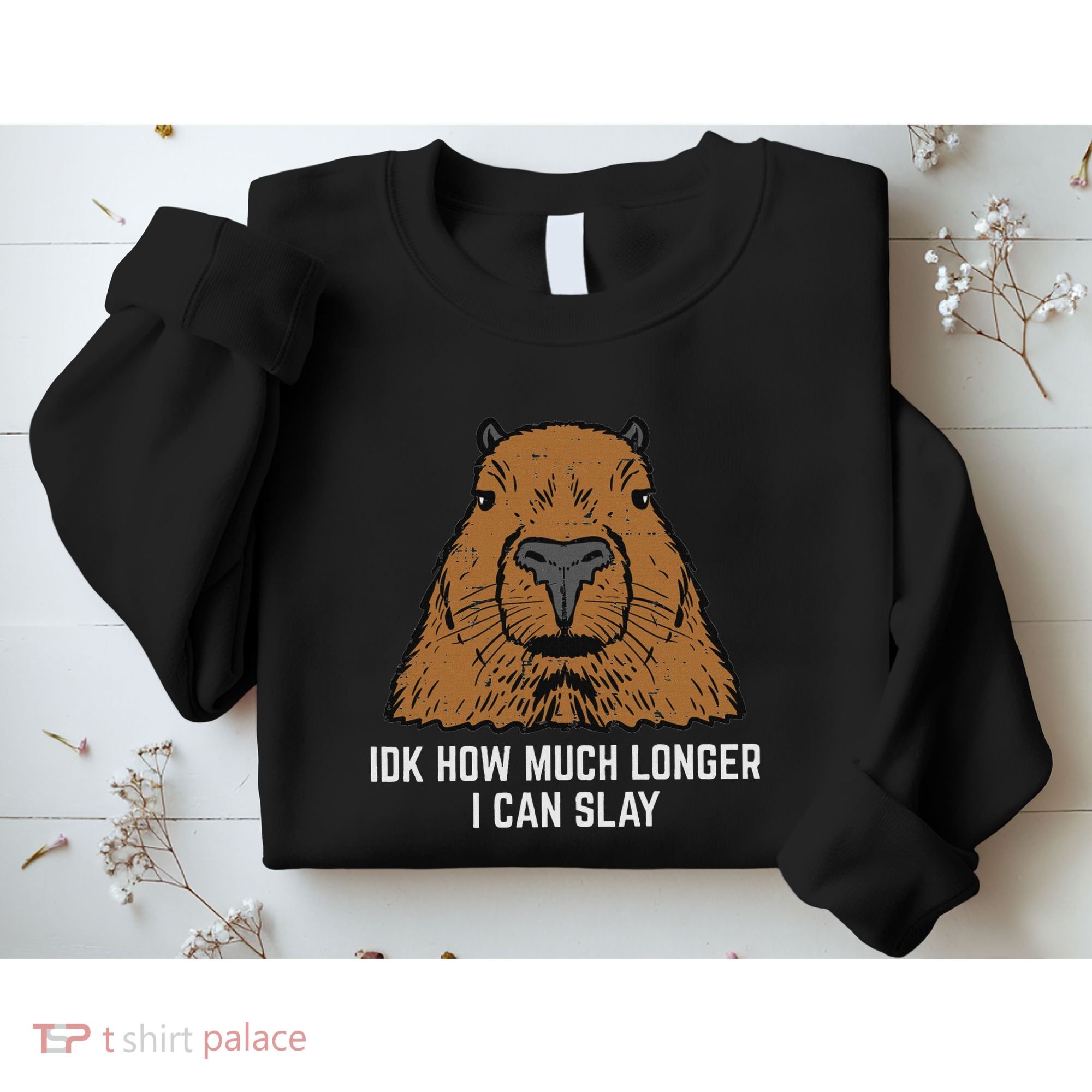 Capybara Idk How Much I Can Slay Capy Rodent Women Sweatshirt