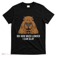 Capybara Idk How Much I Can Slay Capy Rodent Women T-Shirt thumb 0