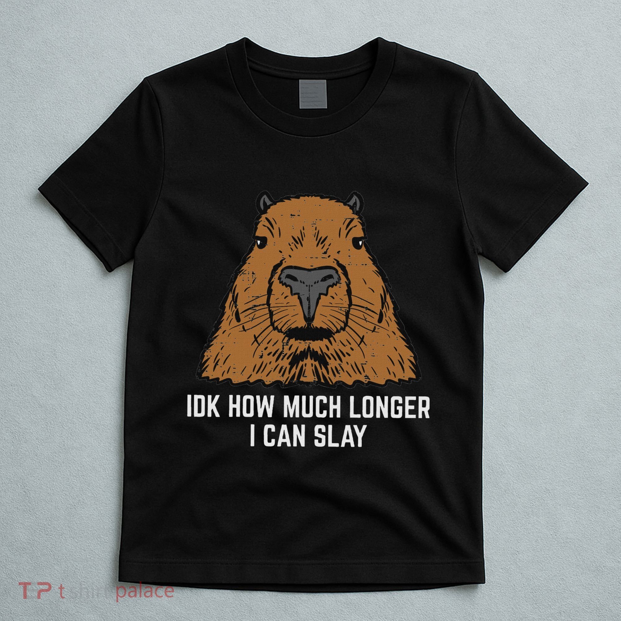 Capybara Idk How Much I Can Slay Capy Rodent Women T-Shirt
