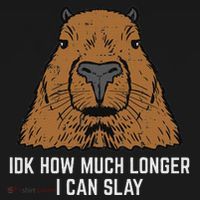 Capybara Idk How Much I Can Slay Capy Rodent Women Coaster thumb 2