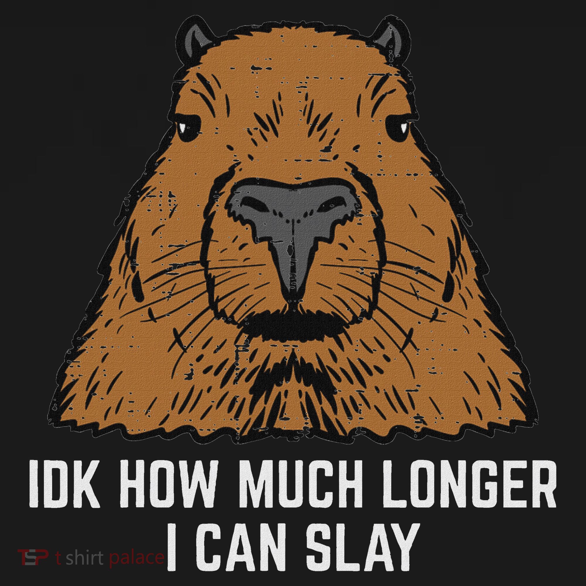 Capybara Idk How Much I Can Slay Capy Rodent Women Women's Hoodie