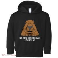 Capybara Idk How Much I Can Slay Capy Rodent Women Toddler Hoodie thumb 0