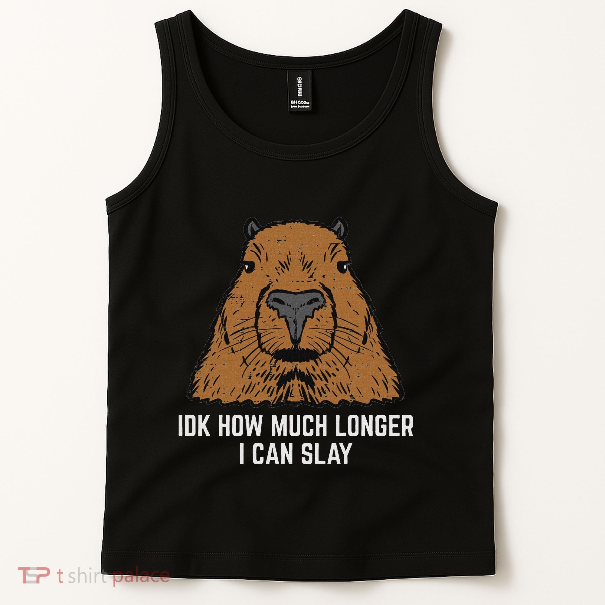 Capybara Idk How Much I Can Slay Capy Rodent Women Tank Top
