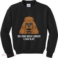 Capybara Idk How Much I Can Slay Capy Rodent Women Kids Sweatshirt thumb 0