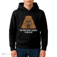 Capybara Idk How Much I Can Slay Capy Rodent Women Kids Hoodie thumb 4