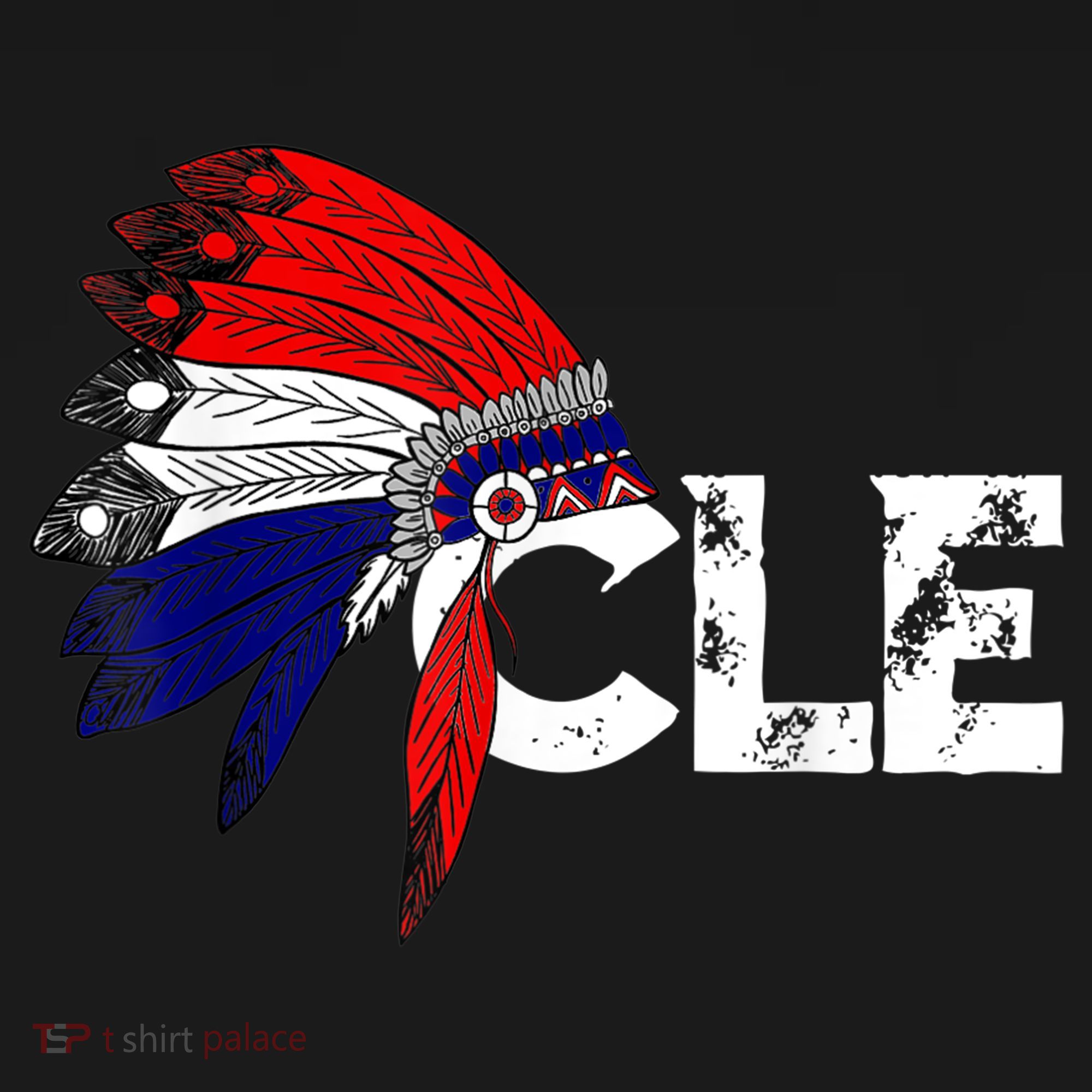 Cleveland Iroqios Indian Tribe TShirt For Men Women Kids Women's Hoodie