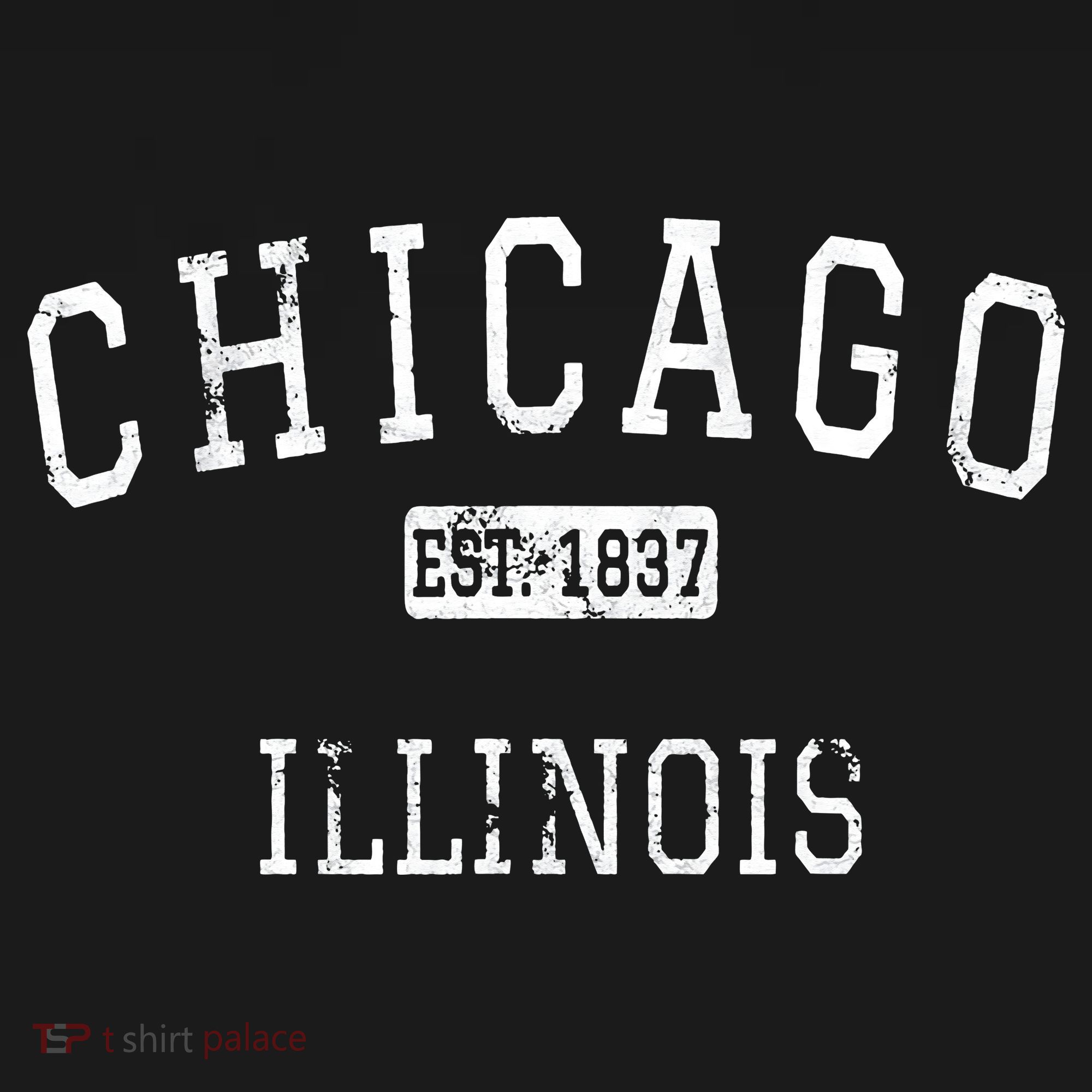 Chicago Illinois IL Vintage T-Shirt
