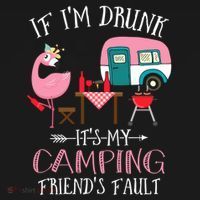 Camper If IM Drunk ItS My Camping Friends Fault Flamingo Great Gift Women's Hoodie thumb 2