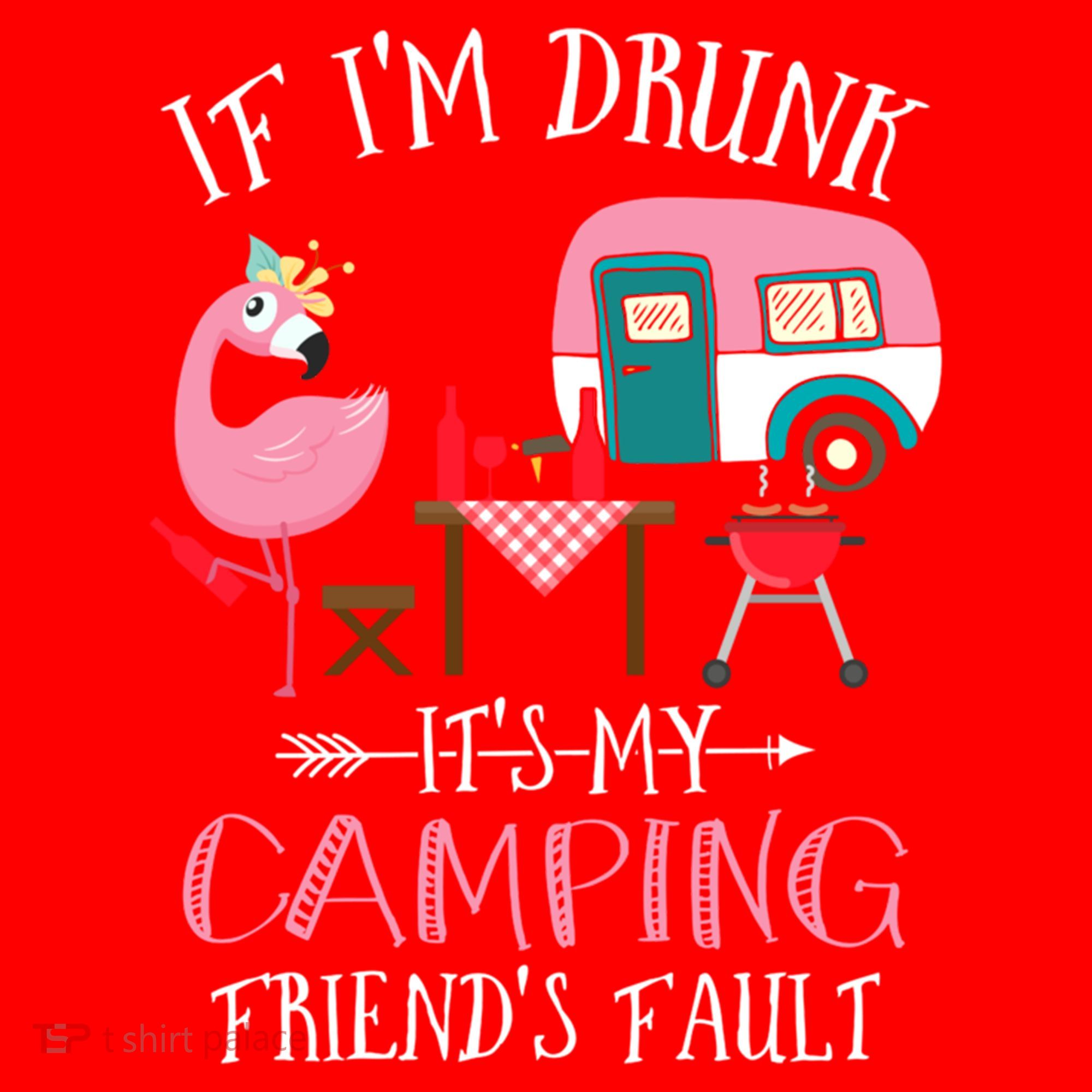 Camper If IM Drunk ItS My Camping Friends Fault Flamingo Great Gift Santa Hat