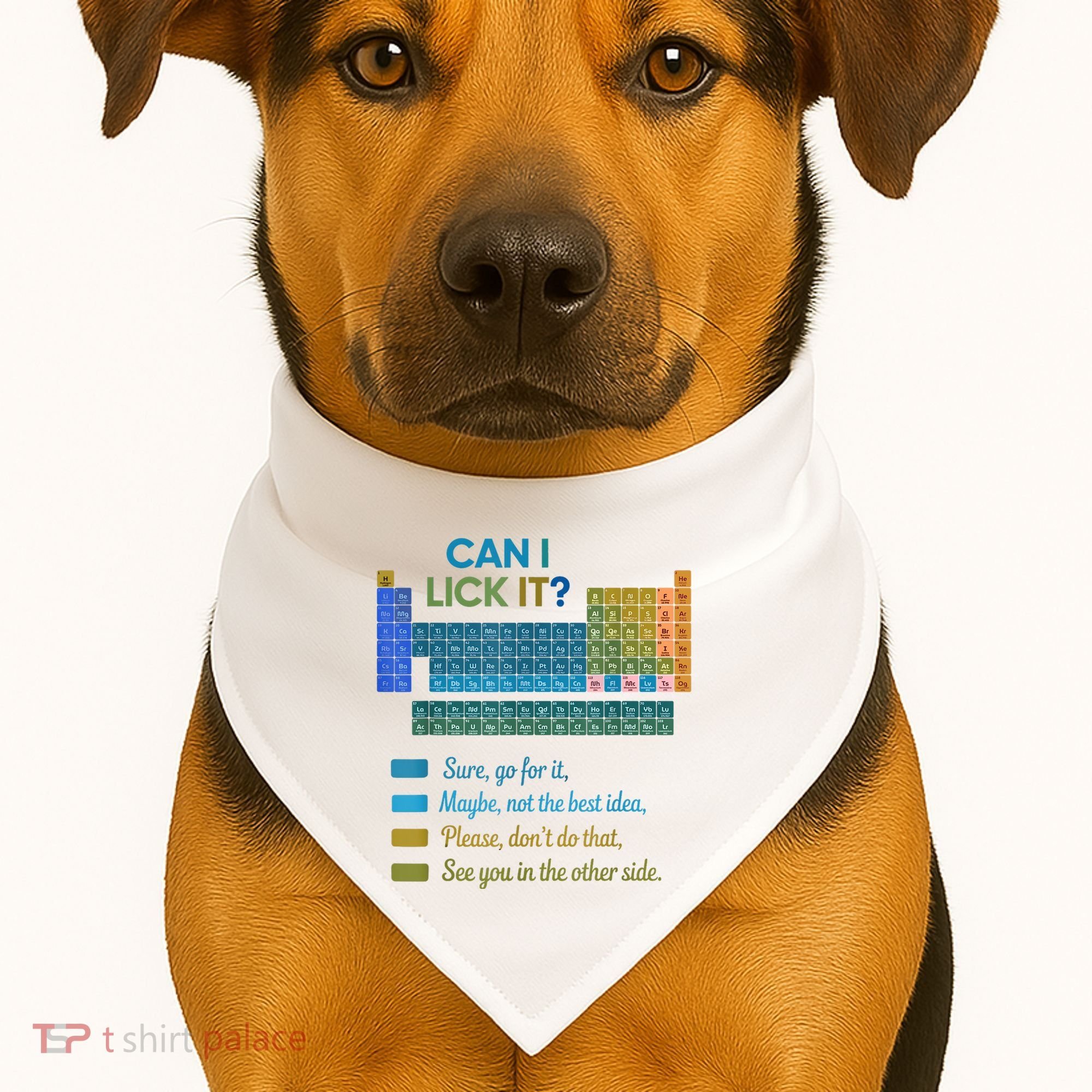 Can I Lick It Funny 100 Days Of School Periodic Table USA-Made Doggie Bandana