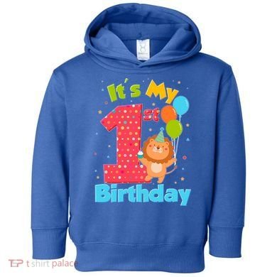 Cute It's My First 1st Birthday Toddler Hoodie