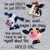 Cow IM Not Crazy IM Just Special Maybe IM Crazy Women's Sweatshirt thumb 2