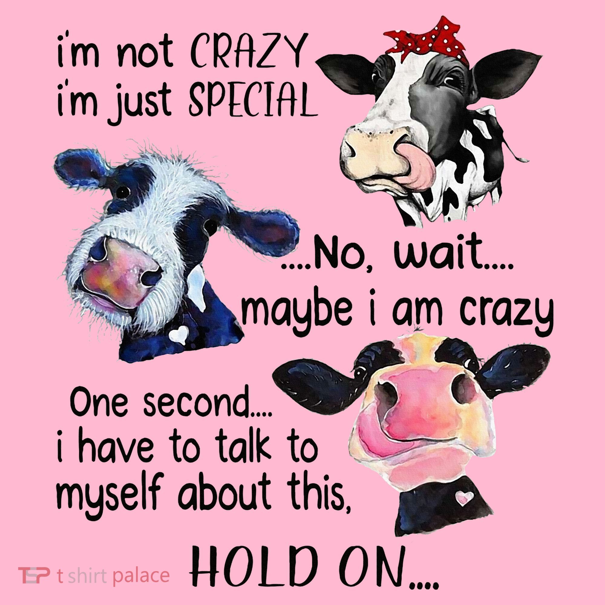 Cow IM Not Crazy IM Just Special Maybe IM Crazy Coaster