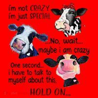 Cow IM Not Crazy IM Just Special Maybe IM Crazy Santa Hat thumb 1