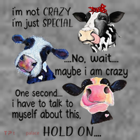 Cow IM Not Crazy IM Just Special Maybe IM Crazy Toddler Hoodie thumb 2