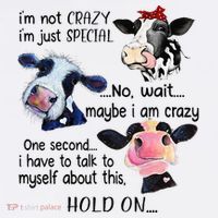 Cow IM Not Crazy IM Just Special Maybe IM Crazy T-Shirt thumb 7