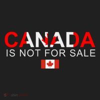 Canada Is Not For Sale Support Canadians Beanie thumb 2