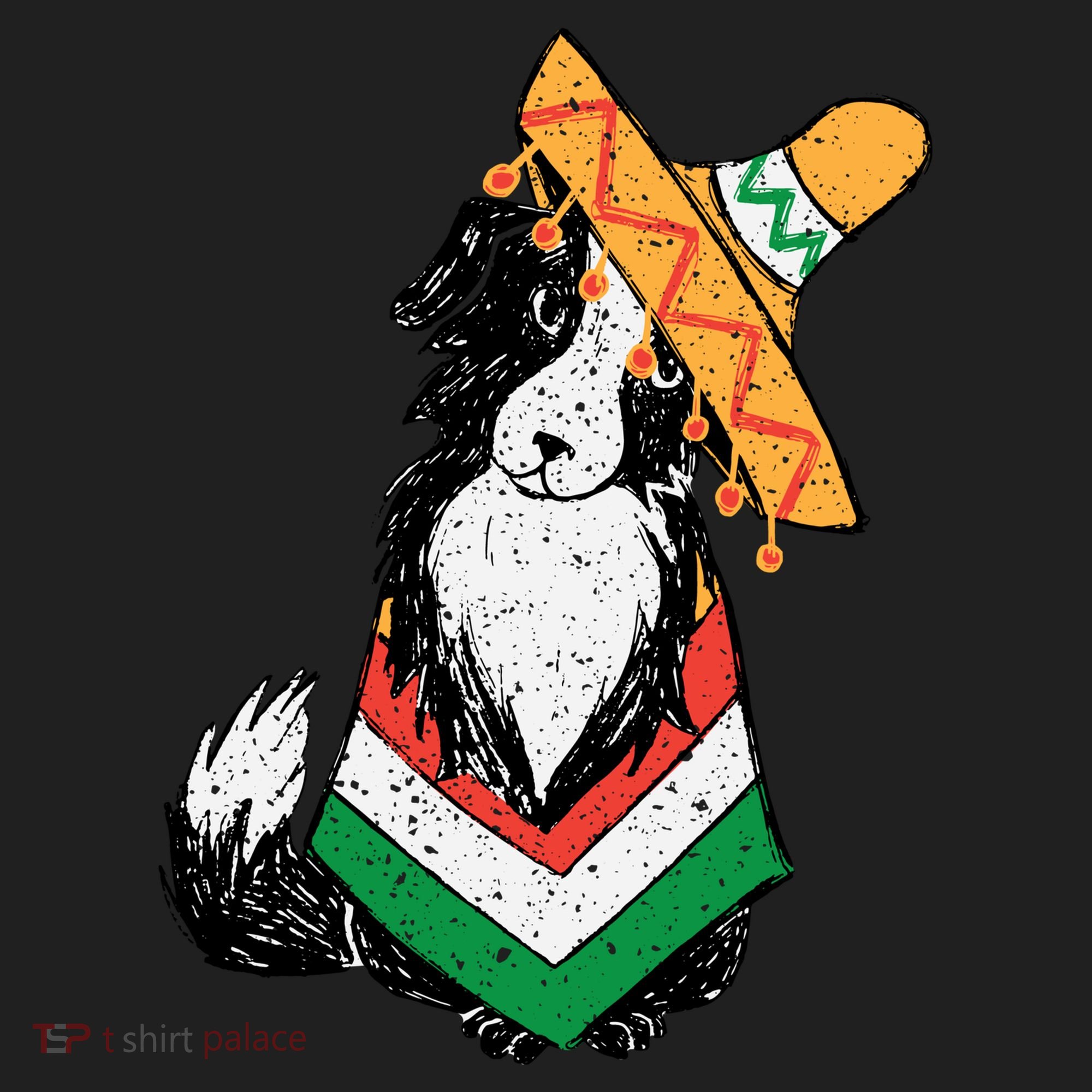 Cinco De Mayo Dog Hat