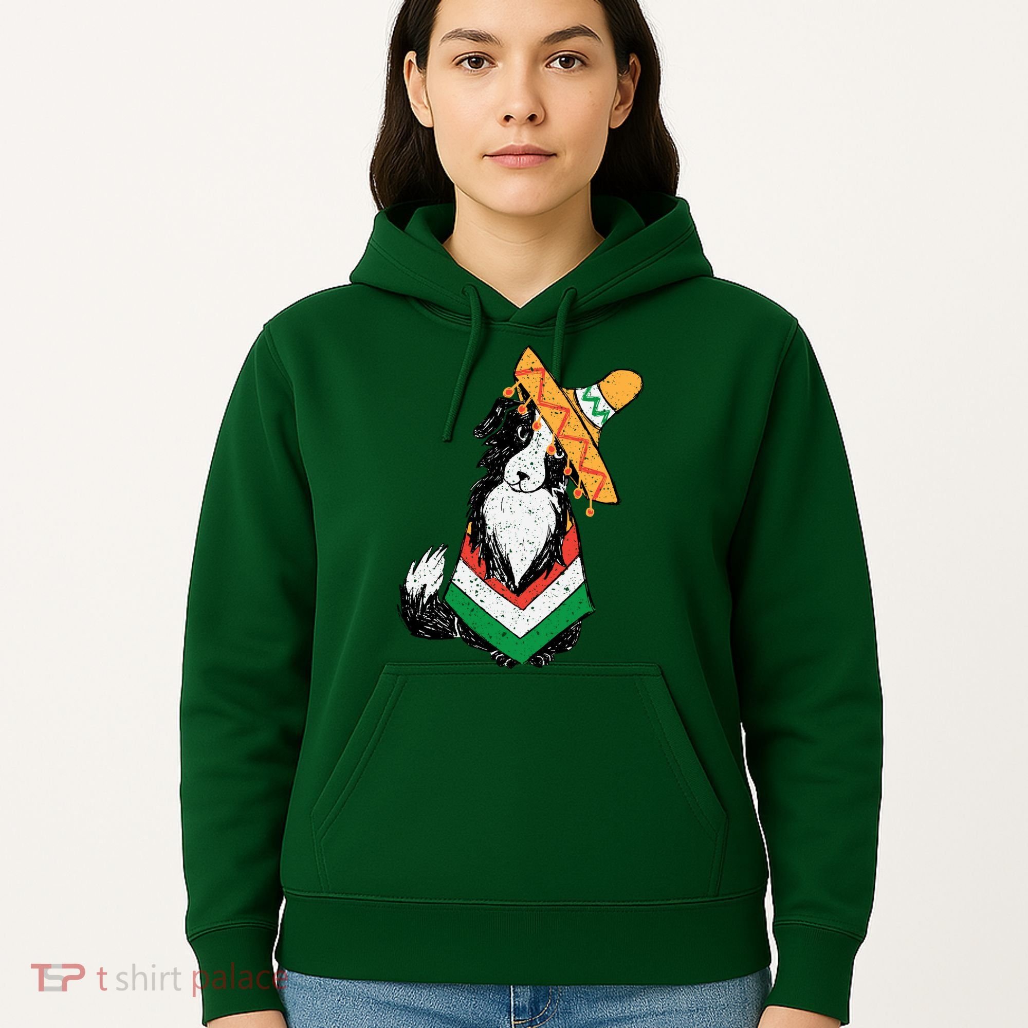 Cinco De Mayo Dog Hoodie