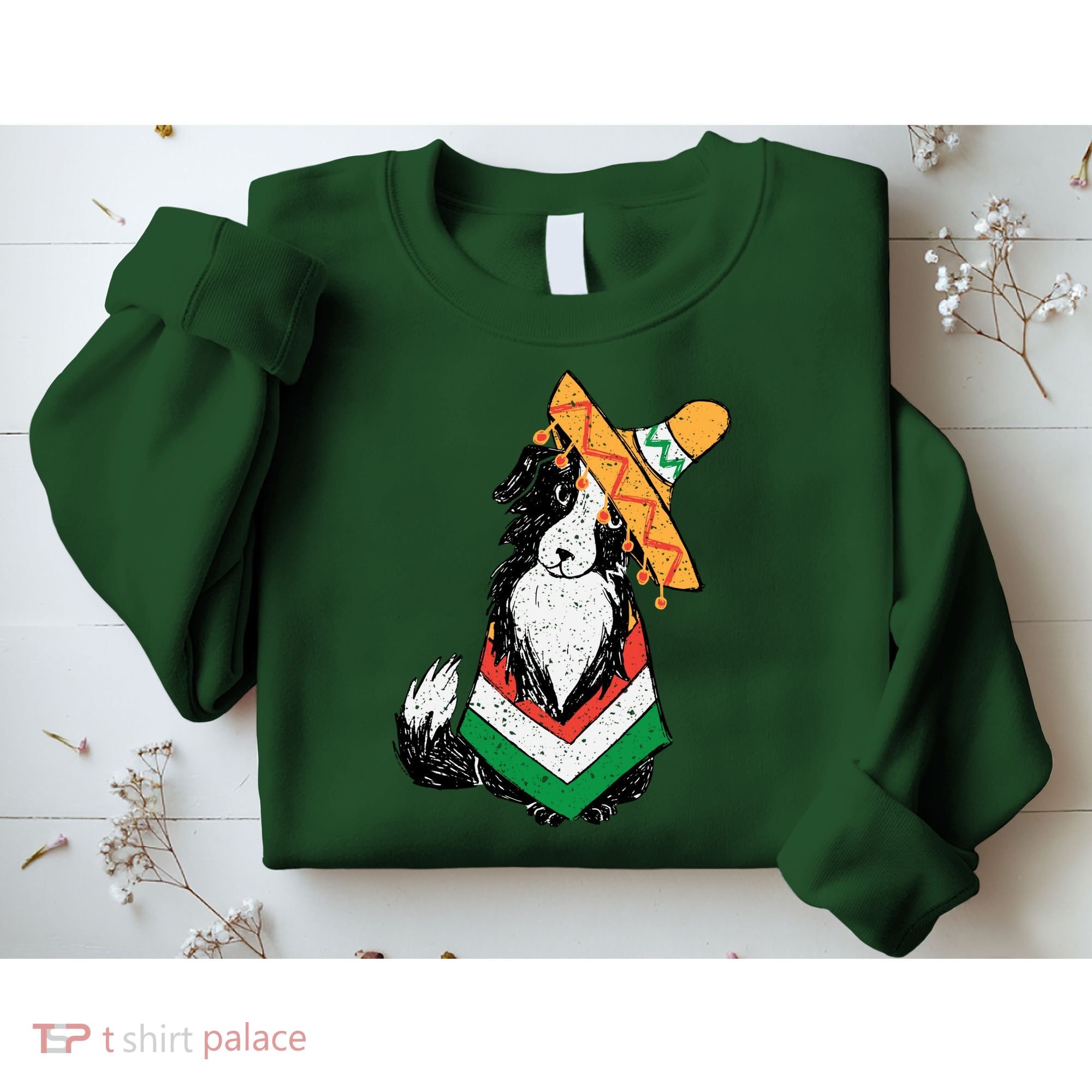 Cinco De Mayo Dog Sweatshirt