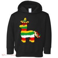 Cinco De Mayo Party Pinata Fiesta Sombrero Toddler Hoodie thumb 0