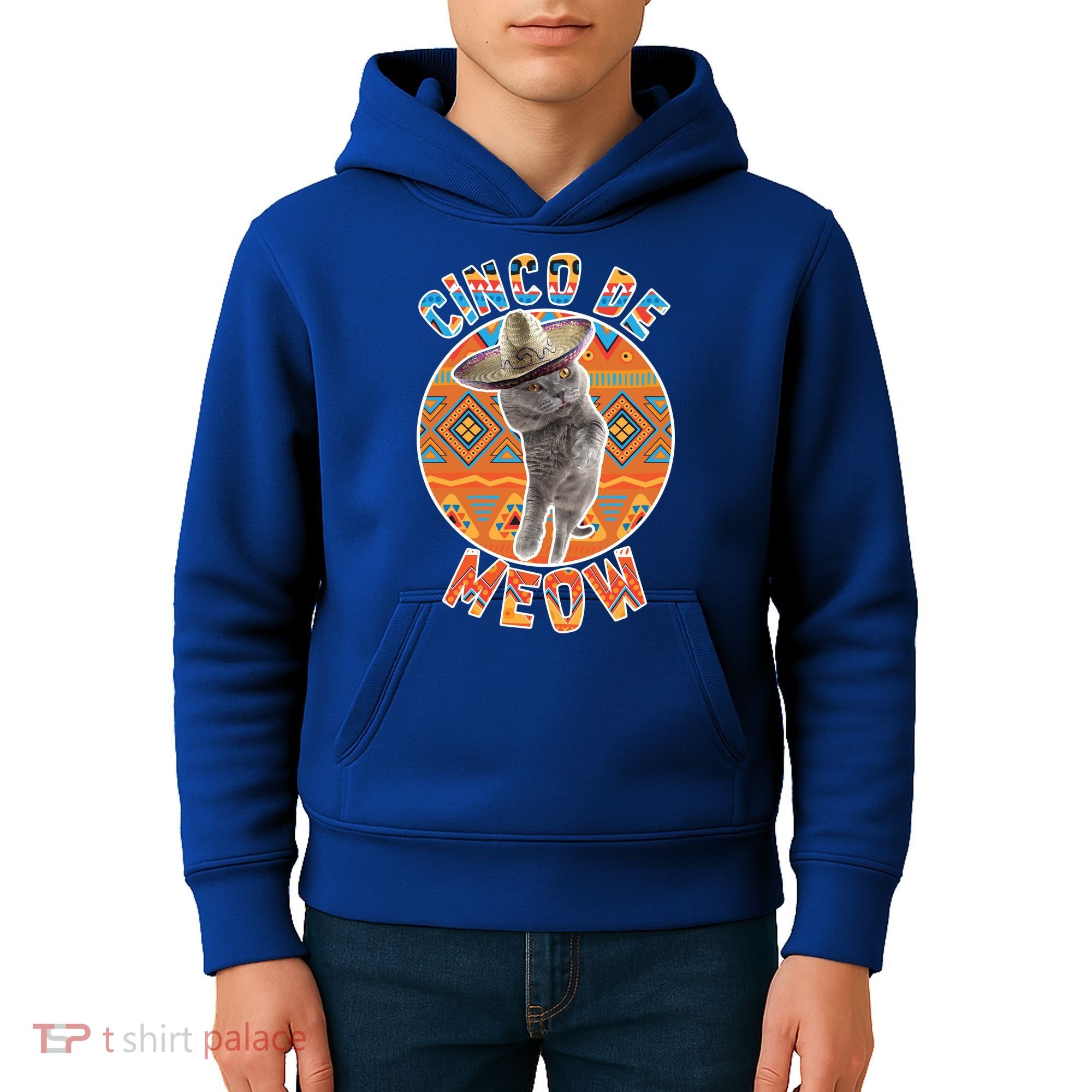 Cinco De Meow Kids Hoodie