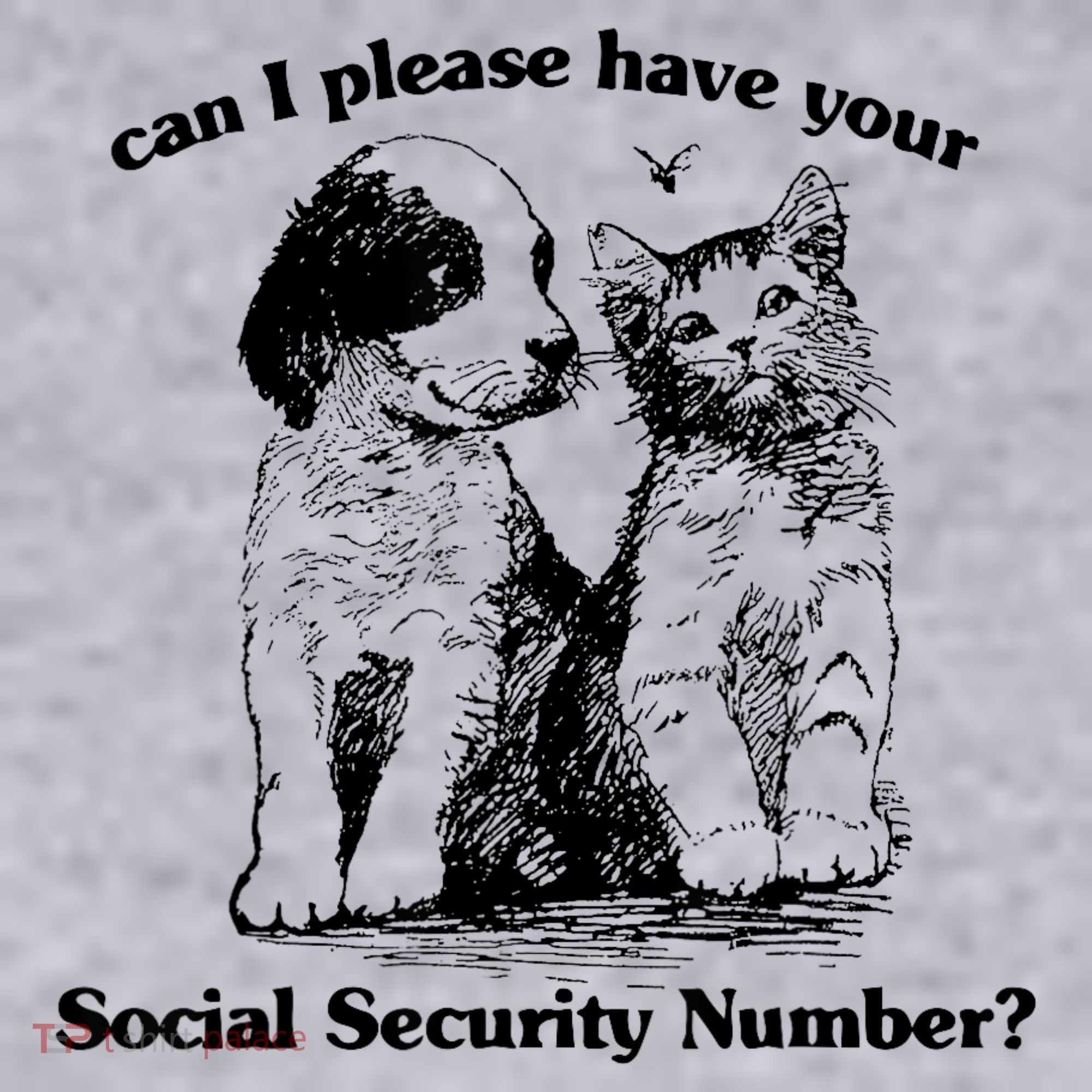 Can I Please Have Your Social Security Number Women's Sweatshirt