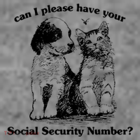 Can I Please Have Your Social Security Number Toddler Hoodie thumb 2