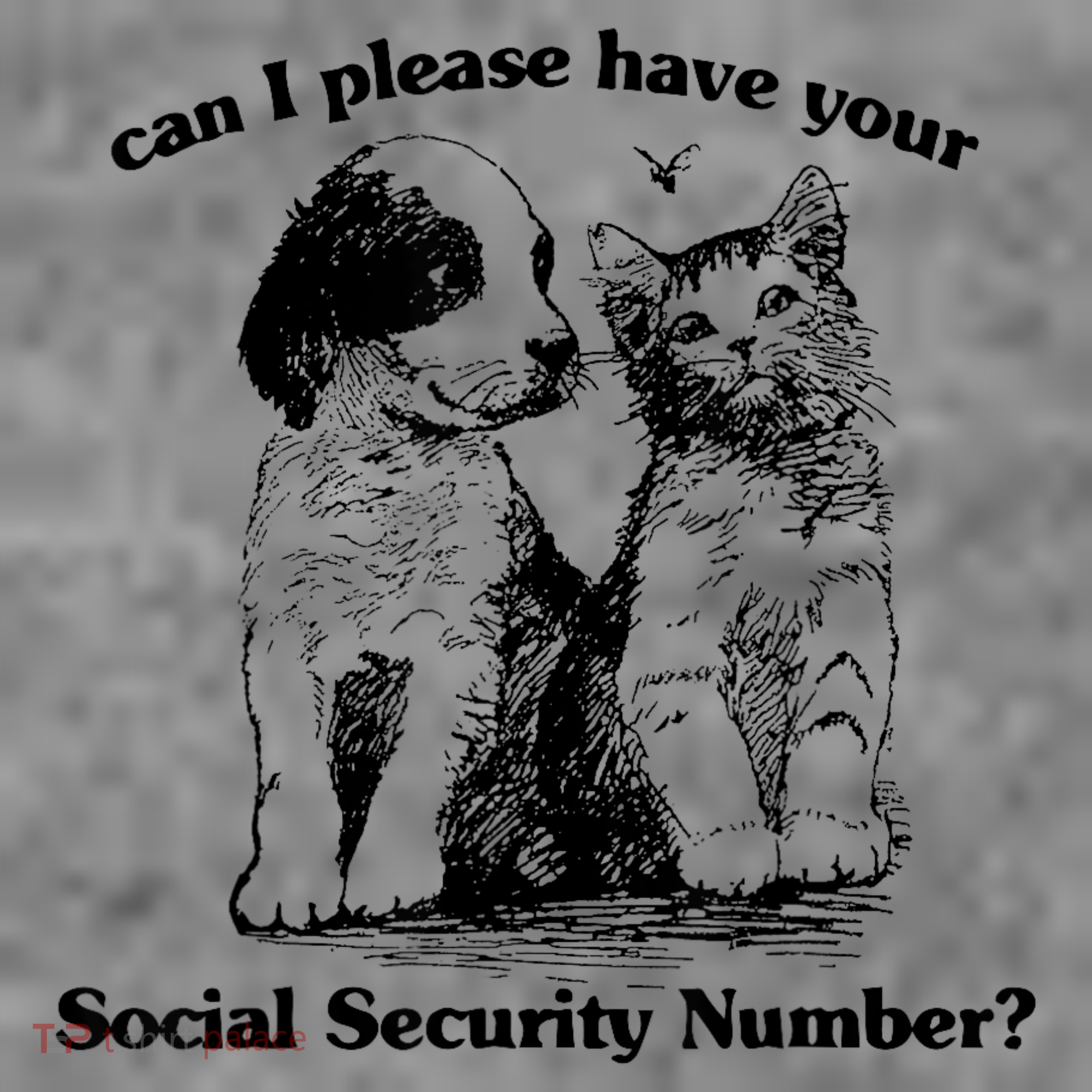 Can I Please Have Your Social Security Number Toddler Hoodie